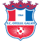 ASC Otelul Galati team logo 