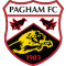 Pagham team logo 