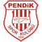 Pendikspor team logo 