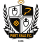 Port Vale team logo 