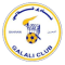 QALALI team logo 