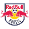 Red Bull Brasil team logo 