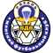 Ryazan VDV team logo 