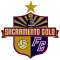 Sacramento Gold FC team logo 