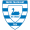 Salpa team logo 