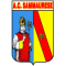 Sammaurese Calcio team logo 