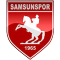 Samsunspor team logo 