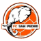 San Pedro team logo 