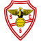 SC Salgueiros team logo 