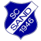 SC Sand F team logo 