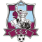 Sfintul Gheorghe team logo 