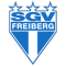 SGV Freiberg team logo 