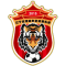 Shenyang City team logo 
