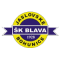 SK Blava Jaslovske Bohunice team logo 