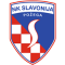 Slavonija team logo 