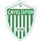 Smart Holding Cayelispor team logo 