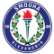 Smouha SC team logo 