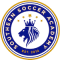 Southern Soccer Academy Kings team logo 