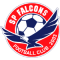 SP Falcons FC team logo 