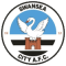 Swansea team logo 