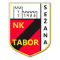 Tabor Sezana team logo 