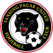 Tanjong Pagar United team logo 