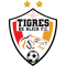 Tigres De Alica FC team logo 