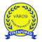 Tiszafured Vse team logo 