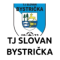 Tj Solvan Dubovce team logo 