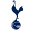 Tottenham Hotspur FC team logo 