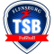 TSB Flensburg team logo 