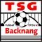 TSG Backnang team logo 