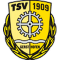 TSV Gersthofen team logo 