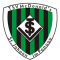 TSV St. Johann team logo 