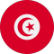 Tunisia team logo 