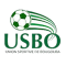 UNION SPORTIVE BOUGOUBA team logo 