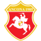 Ancona team logo 