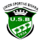 US Biskra team logo 