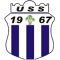 US Souf team logo 