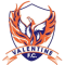 Valentine FC team logo 