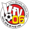 VfV 06 Hildesheim team logo 