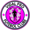 Vidal Pro team logo 