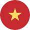 Vietnam team logo 