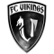 Vikings Playone FC team logo 