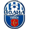Volna Pinsk team logo 