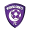 Wakiso Giants FC team logo 