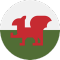 Gales team logo 