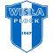 Wisla Plock team logo 