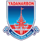 Yadanarbon team logo 