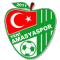 Yeni Amasyaspor team logo 